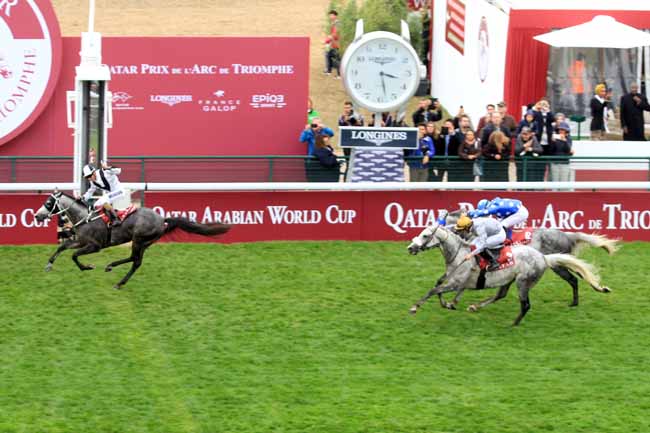 Photo d'arrivée de la course pmu QATAR ARABIAN WORLD CUP à LONGCHAMP le Dimanche 7 octobre 2018