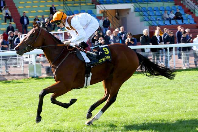 Photo d'arrivée de la course pmu PRIX DU PUITS DU ROY à COMPIEGNE le Lundi 8 octobre 2018