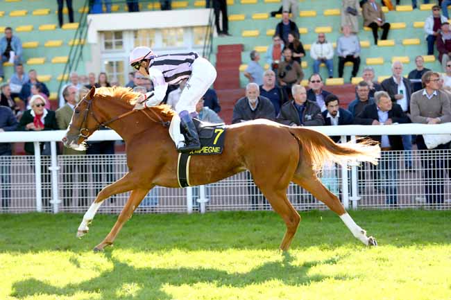 Photo d'arrivée de la course pmu PRIX DES BELLES DEMOISELLES à COMPIEGNE le Lundi 8 octobre 2018