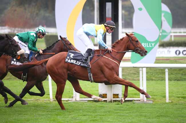 Photo d'arrivée de la course pmu PRIX DES CAMELIAS à LYON-PARILLY le Mardi 9 octobre 2018
