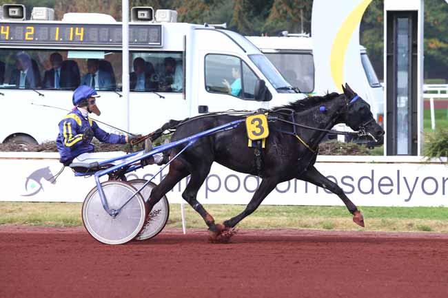 Photo d'arrivée de la course pmu PRIX EQUITA LONGINES - PRIX DU DRACENOIS à LYON-PARILLY le Mercredi 10 octobre 2018