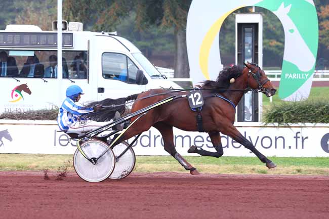 Photo d'arrivée de la course pmu PRIX DE VENDEE à LYON-PARILLY le Mercredi 10 octobre 2018