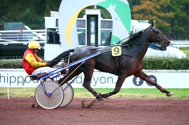 Photo d'arrivée de la course pmu PRIX DE DROUAIS (GR B) à LYON-PARILLY le Mercredi 10 octobre 2018