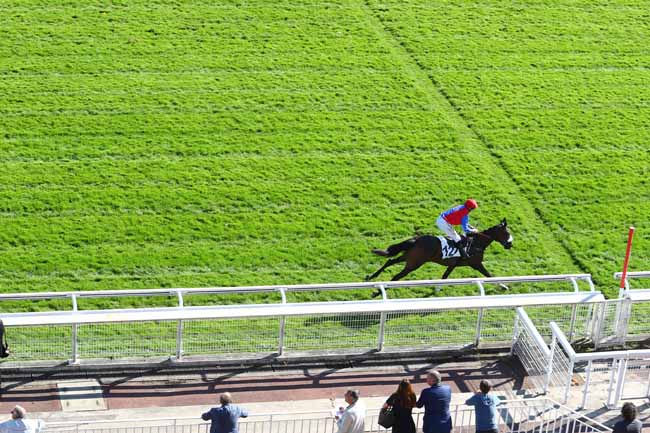 Photo d'arrivée de la course pmu PRIX BEAUREPAIRE à AUTEUIL le Mercredi 10 octobre 2018
