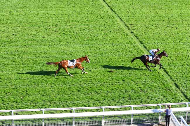 Photo d'arrivée de la course pmu PRIX PETIT FONTAINE à AUTEUIL le Mercredi 10 octobre 2018