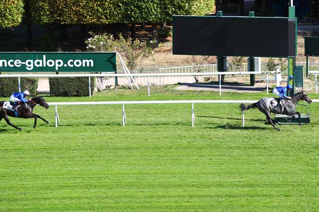 Photo d'arrivée de la course pmu PRIX VICTRIX à SAINT-CLOUD le Jeudi 11 octobre 2018