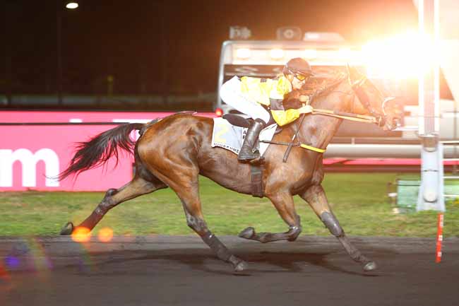 Photo d'arrivée de la course pmu PRIX GORDONIA à PARIS-VINCENNES le Vendredi 12 octobre 2018
