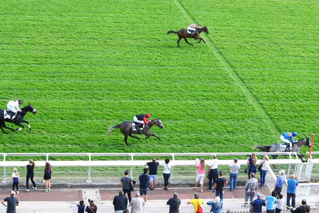Photo d'arrivée de la course pmu PRIX GEORGES DE TALHOUET-ROY à AUTEUIL le Dimanche 14 octobre 2018