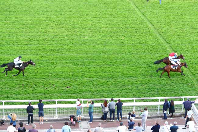 Photo d'arrivée de la course pmu PRIX JACK BARBE à AUTEUIL le Dimanche 14 octobre 2018