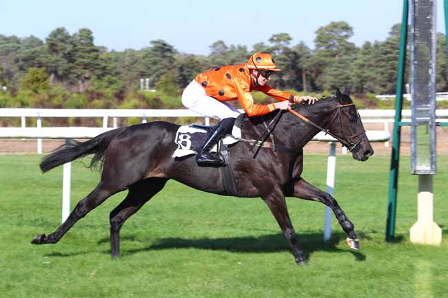 Photo d'arrivée de la course pmu PRIX DU GRAND PARQUET à FONTAINEBLEAU le Mardi 16 octobre 2018