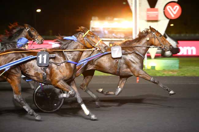 Photo d'arrivée de la course pmu PRIX OPHIUCUS à PARIS-VINCENNES le Mardi 16 octobre 2018
