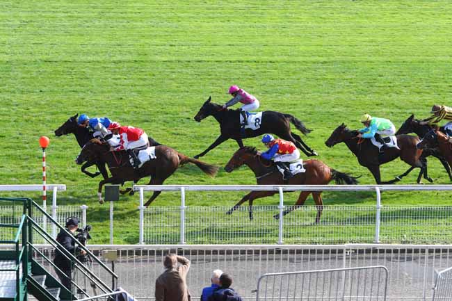 Photo d'arrivée de la course pmu PRIX DES PETRONS à MAISONS-LAFFITTE le Vendredi 19 octobre 2018