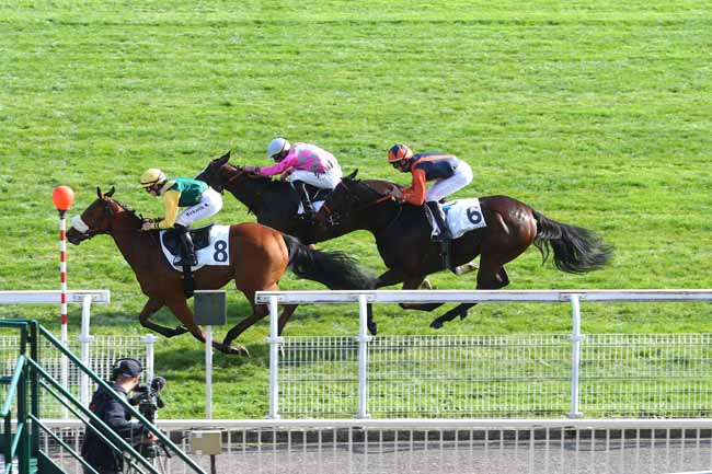 Photo d'arrivée de la course pmu PRIX SILVER SHARK à MAISONS-LAFFITTE le Vendredi 19 octobre 2018