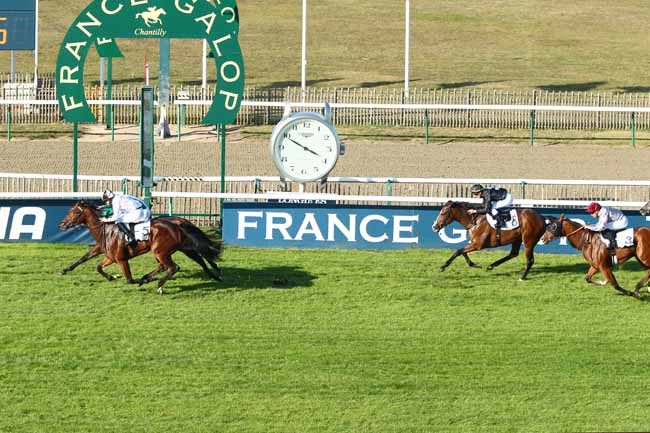 Photo d'arrivée de la course pmu PRIX DE LA BRECHE-AUX-LOUPS à CHANTILLY le Dimanche 21 octobre 2018