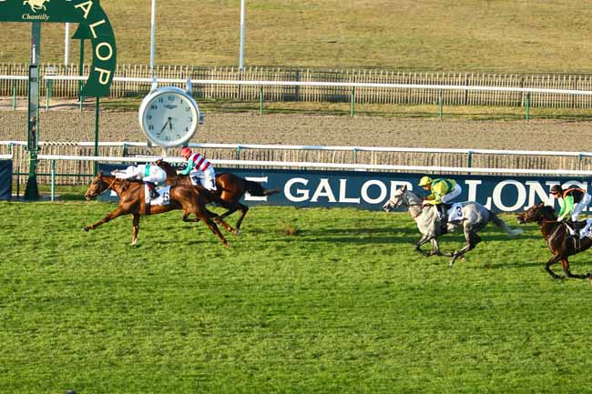 Photo d'arrivée de la course pmu PRIX DU CONSEIL DE PARIS à CHANTILLY le Dimanche 21 octobre 2018