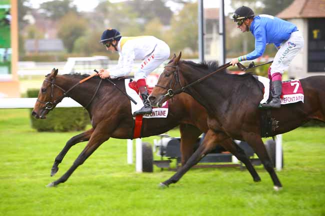 Photo d'arrivée de la course pmu PRIX DES CROCUS à CLAIREFONTAINE le Lundi 22 octobre 2018