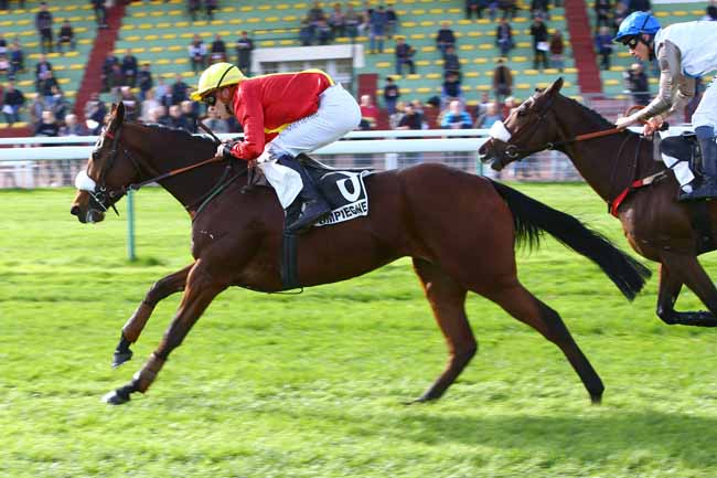 Photo d'arrivée de la course pmu PRIX DE PORNIC à COMPIEGNE le Mardi 23 octobre 2018