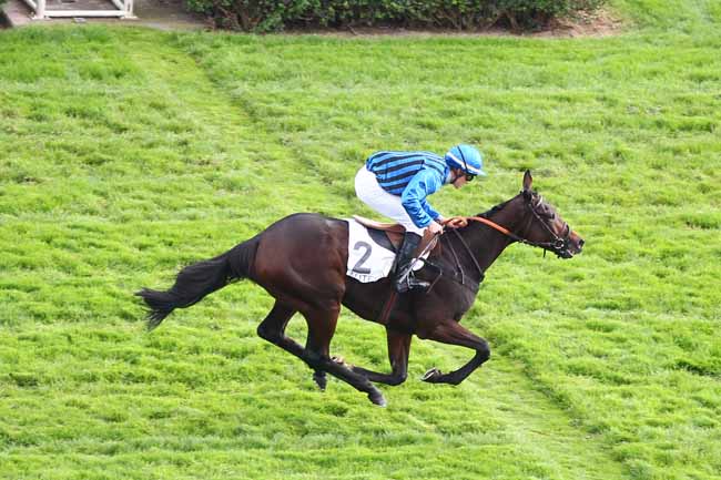 Photo d'arrivée de la course pmu PRIX TRIQUERVILLE à AUTEUIL le Jeudi 25 octobre 2018