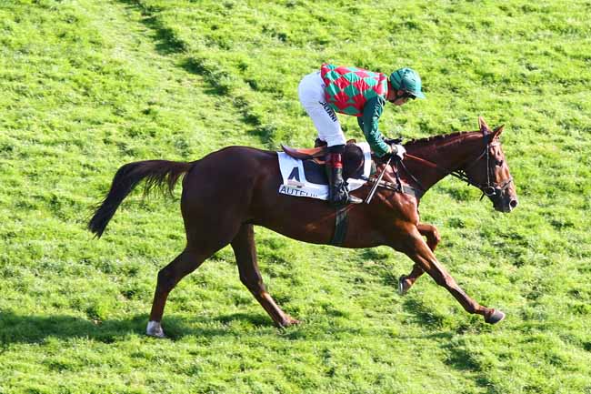 Photo d'arrivée de la course pmu PRIX FERDINAND RIANT à AUTEUIL le Jeudi 25 octobre 2018