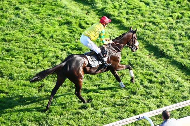 Photo d'arrivée de la course pmu PRIX CAP à AUTEUIL le Jeudi 25 octobre 2018