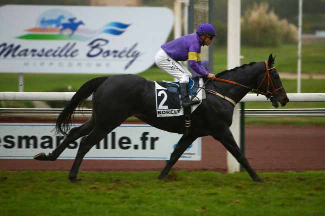 Photo d'arrivée de la course pmu PRIX SABY ZARAYA à MARSEILLE-BORELY le Lundi 29 octobre 2018