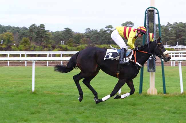 Photo d'arrivée de la course pmu PRIX DE LA VILLE D'AVON à FONTAINEBLEAU le Mardi 30 octobre 2018