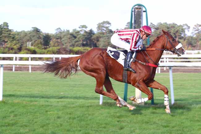 Photo d'arrivée de la course pmu PRIX PRINCESSE D'ANJOU à FONTAINEBLEAU le Mardi 30 octobre 2018