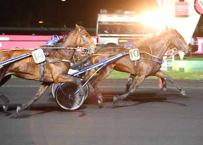 Photo d'arrivée de la course pmu PRIX ANGELINA à PARIS-VINCENNES le Mardi 30 octobre 2018