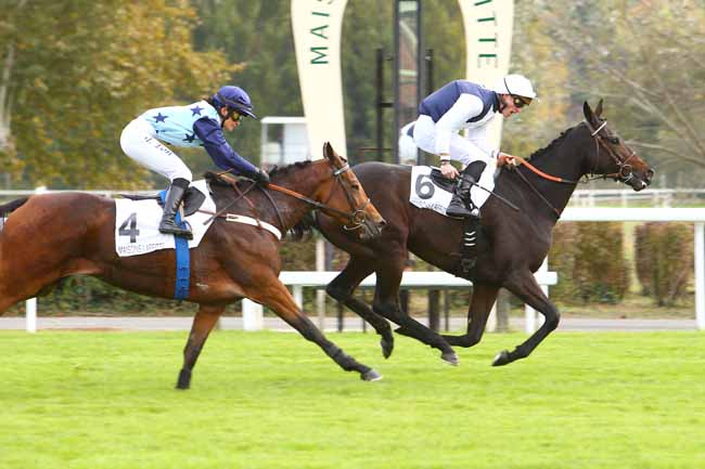 Photo d'arrivée de la course pmu PRIX CHLORIS à MAISONS-LAFFITTE le Mercredi 31 octobre 2018