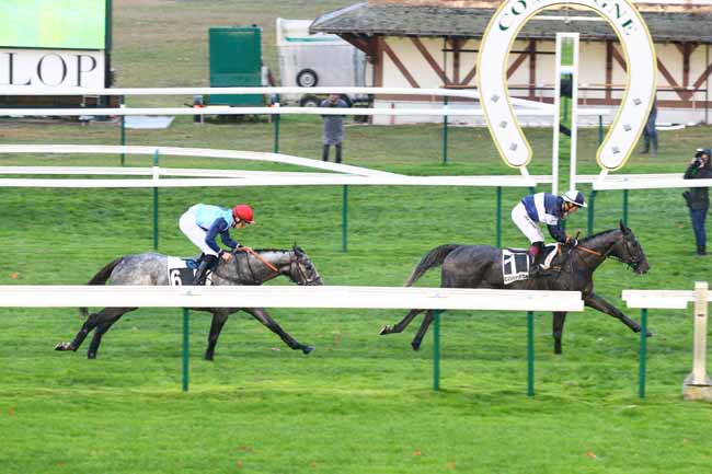 Photo d'arrivée de la course pmu PRIX CERILLY à COMPIEGNE le Jeudi 1 novembre 2018