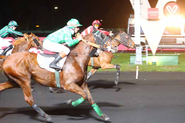 Photo d'arrivée de la course pmu PRIX DRACO à PARIS-VINCENNES le Vendredi 2 novembre 2018