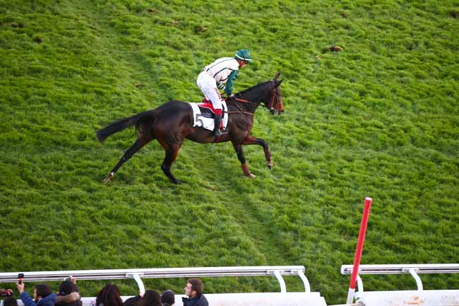 Photo d'arrivée de la course pmu PRIX ROBERT WEILL à AUTEUIL le Samedi 3 novembre 2018