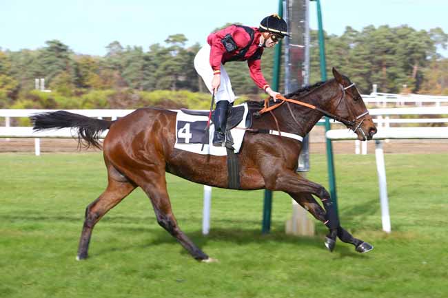 Photo d'arrivée de la course pmu PRIX BARON GEOFFROY DE WALDNER à FONTAINEBLEAU le Lundi 5 novembre 2018