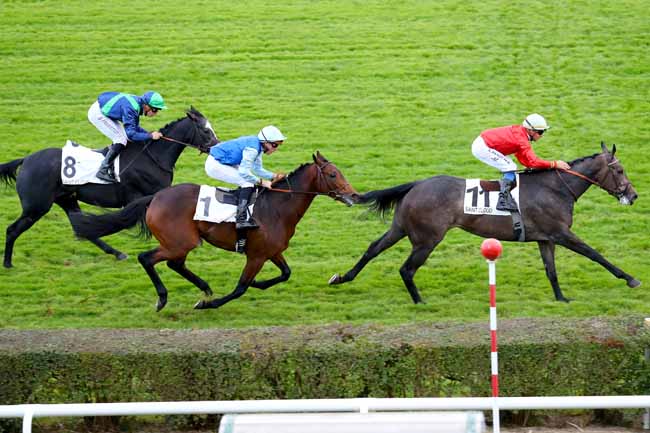 Photo d'arrivée de la course pmu PRIX POLIGLOTE à SAINT-CLOUD le Mardi 6 novembre 2018