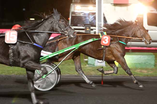 Photo d'arrivée de la course pmu PRIX LEDA à PARIS-VINCENNES le Mardi 6 novembre 2018
