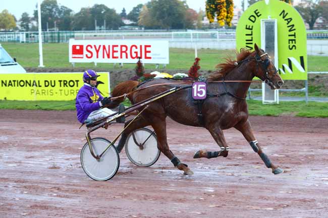 Photo d'arrivée de la course pmu GRAND PRIX SYNERGIE à NANTES le Mercredi 7 novembre 2018