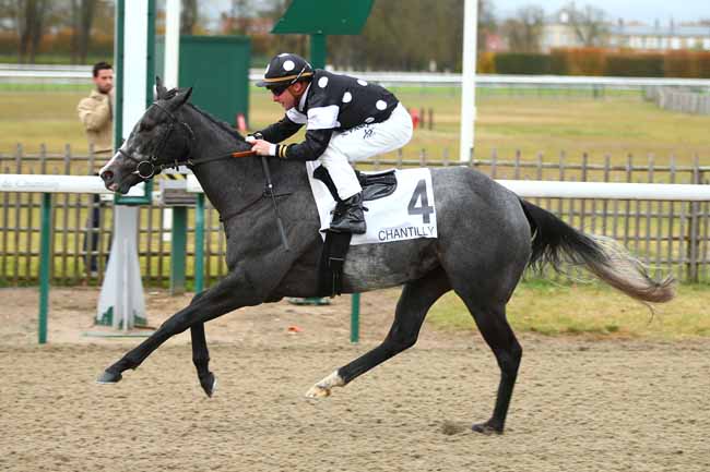Photo d'arrivée de la course pmu PRIX DES DIX CORS à CHANTILLY le Mercredi 7 novembre 2018