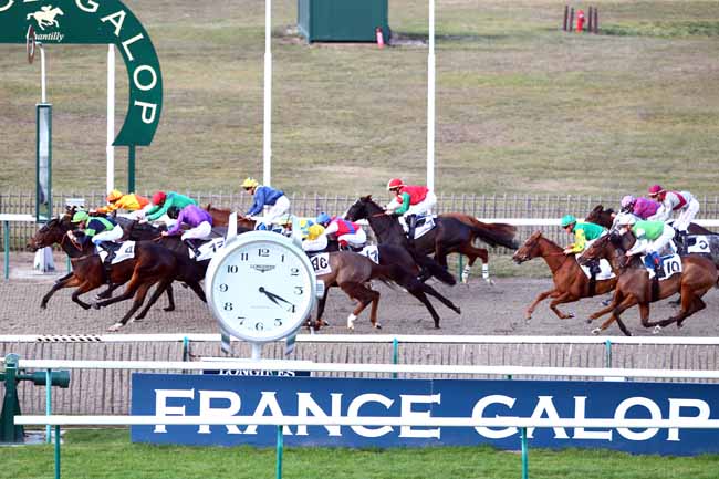 Photo d'arrivée de la course pmu PRIX DU PAVILLON DE L'ANGUILLIERE à CHANTILLY le Jeudi 8 novembre 2018