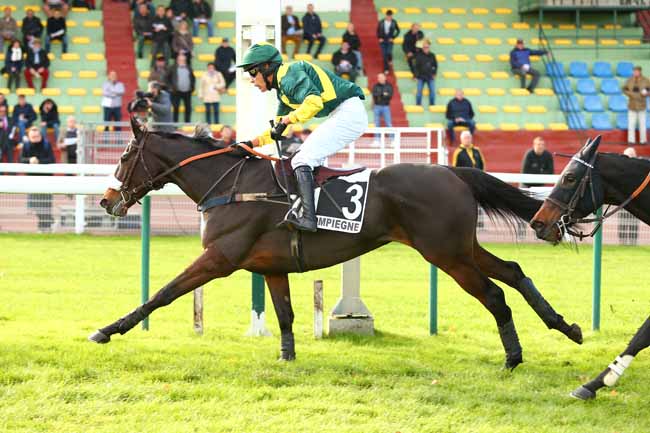 Photo d'arrivée de la course pmu PRIX ELISA à COMPIEGNE le Vendredi 9 novembre 2018