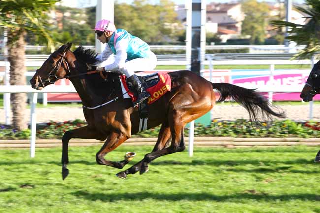 Photo d'arrivée de la course pmu PRIX FILLE DE L'AIR à TOULOUSE le Samedi 10 novembre 2018