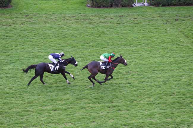 Photo d'arrivée de la course pmu PRIX SAMBRISTAN à AUTEUIL le Dimanche 11 novembre 2018