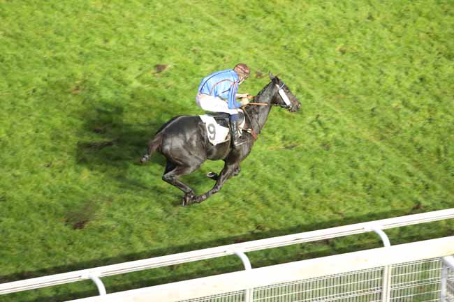 Photo d'arrivée de la course pmu PRIX TOURNAY à AUTEUIL le Dimanche 11 novembre 2018