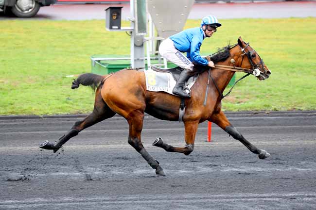 Photo d'arrivée de la course pmu PRIX LOUIS TILLAYE à PARIS-VINCENNES le Lundi 12 novembre 2018