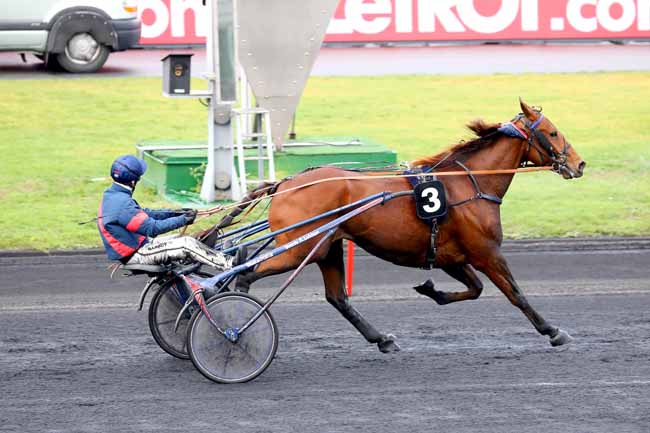 Photo d'arrivée de la course pmu PRIX D'ARGENTAN à PARIS-VINCENNES le Lundi 12 novembre 2018