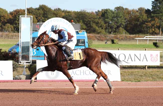 Photo d'arrivée de la course pmu PRIX FANDANGO à BORDEAUX-LE BOUSCAT le Mardi 13 novembre 2018