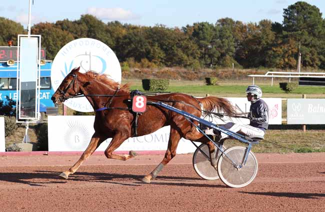 Photo d'arrivée de la course pmu GRAND PRIX DE LA MAISON DU SAUTERNES à BORDEAUX-LE BOUSCAT le Mardi 13 novembre 2018