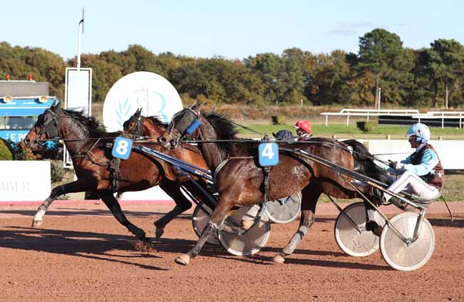 Photo d'arrivée de la course pmu PRIX JARDY à BORDEAUX-LE BOUSCAT le Mardi 13 novembre 2018