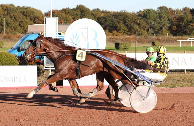 Photo d'arrivée de la course pmu PRIX DE L'HIPPODROME DE LANGON-LIBOURNE (GR A) à BORDEAUX-LE BOUSCAT le Mardi 13 novembre 2018