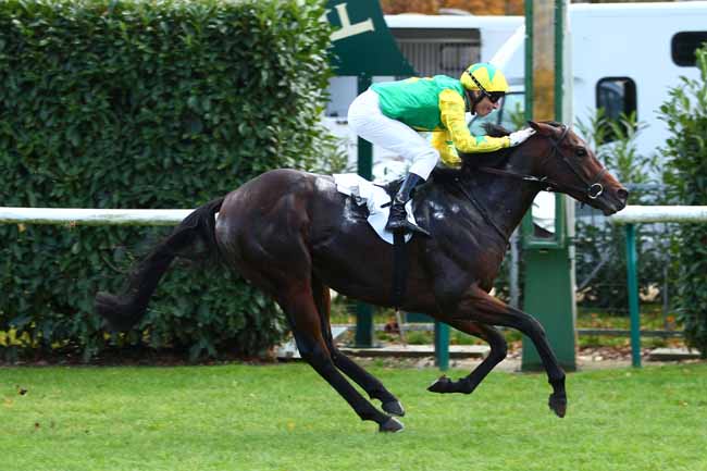 Photo d'arrivée de la course pmu PRIX YACOWLEF à CHANTILLY le Mardi 13 novembre 2018