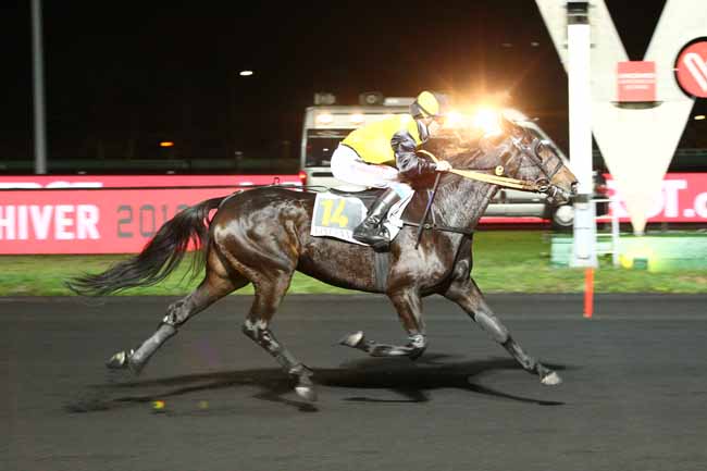 Photo d'arrivée de la course pmu PRIX SILESIA à PARIS-VINCENNES le Mardi 13 novembre 2018